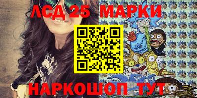 индика Можга