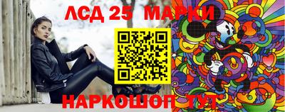 индика Можга