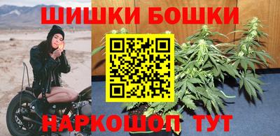 индика Можга