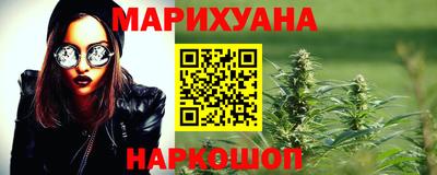 индика Можга