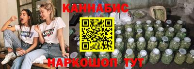 индика Можга