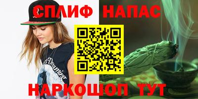 индика Можга