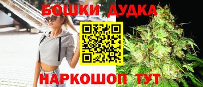 индика Можга