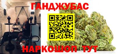 индика Можга