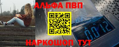 индика Можга