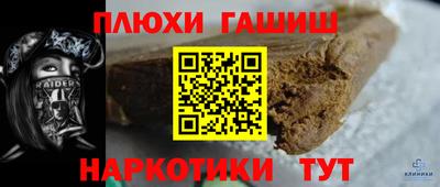 индика Можга