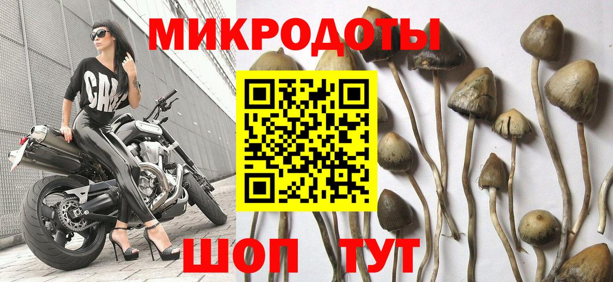 Галлюциногенные грибы Cubensis Вичуга
