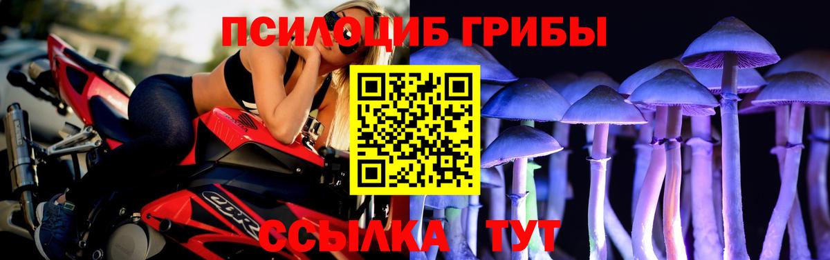 Вичуга  Псилоцибиновые грибы Cubensis  Вход с VPN  Псилоцибиновые грибы MAGIC MUSHROOMS 